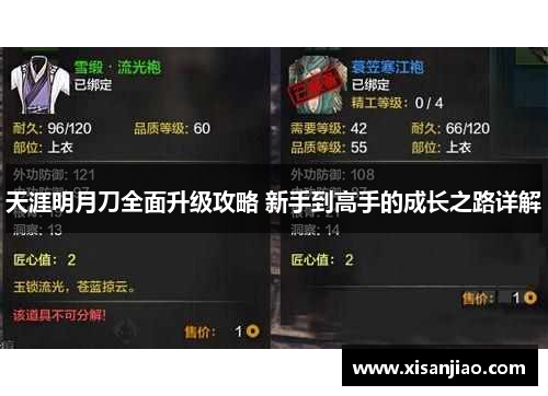 天涯明月刀全面升级攻略 新手到高手的成长之路详解